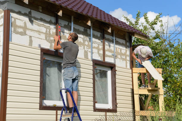 Best Brick Veneer Siding  in Los Fresnos, TX